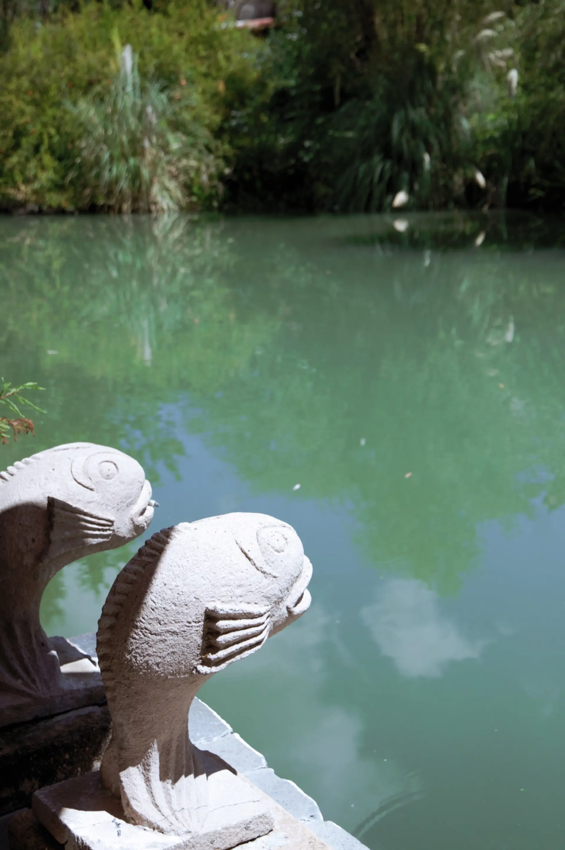 Agua Bendita - Pool